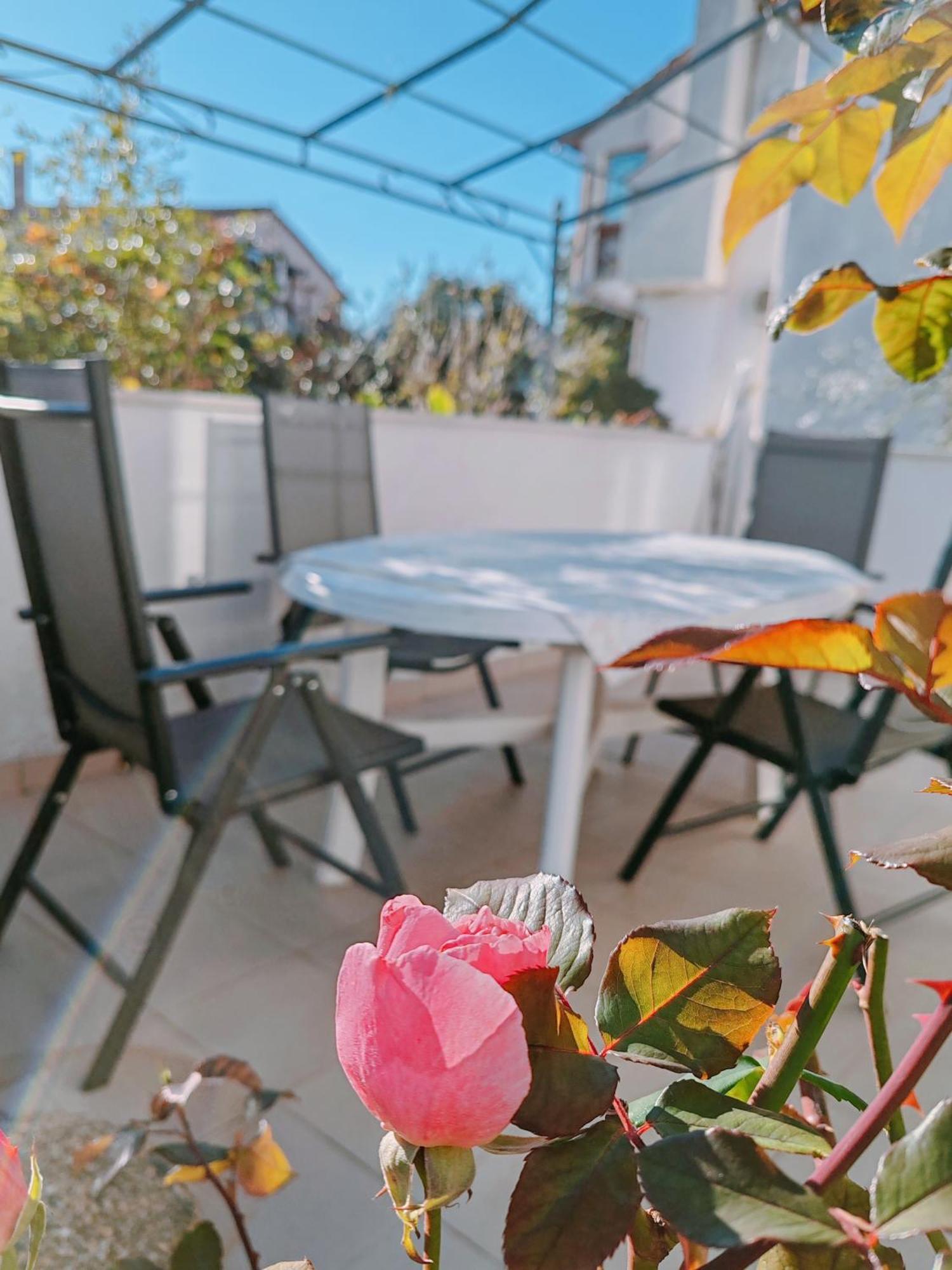 Marko Apartment Rovinj Zewnętrze zdjęcie